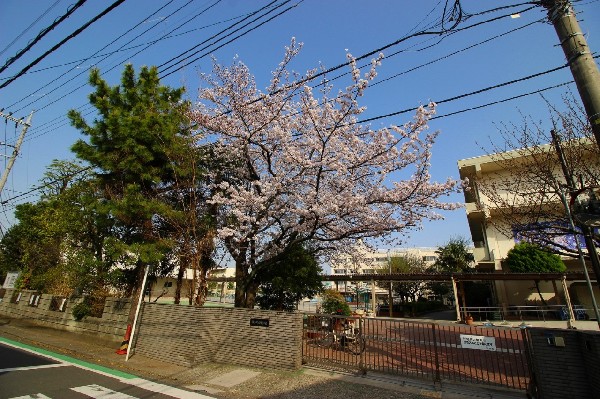 周辺環境:白幡小学校(お子様が一日の中でも長い時間を過ごす小学校。のびのびと過ごし、広い校庭で元気に駆け回ったり、どんどん成長していく姿が目に浮かびます。)