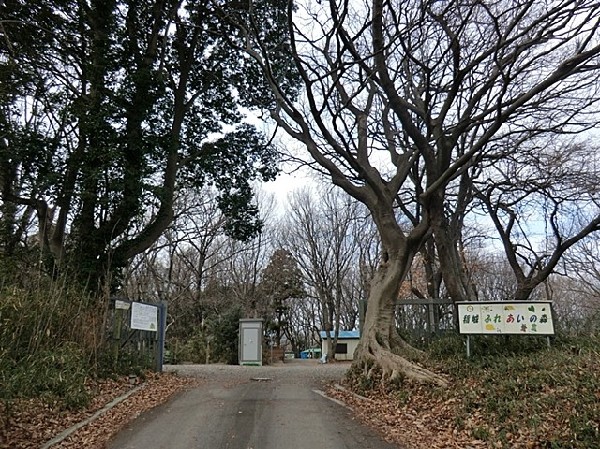 周辺環境:稲城ふれあいの森(樹木が立ち並び、木漏れ日を愉しめる公園。都会の騒がしさから解放される、大人も癒される落ち着きある空間が広がります。)