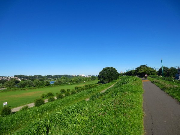 周辺環境:多摩川(お天気の良い日にはサイクリングやペットとのお散歩なども良いですね。自然を身近に感じ、暮らしを豊かにしてくれる環境です。)