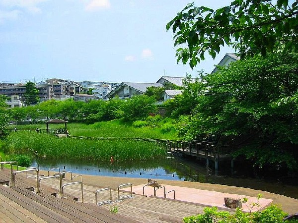 周辺環境:岸根公園(子どもたち、そして大人も思い切り走り回れる位の広々とした芝生。園内にはいくつかの広場がある。)