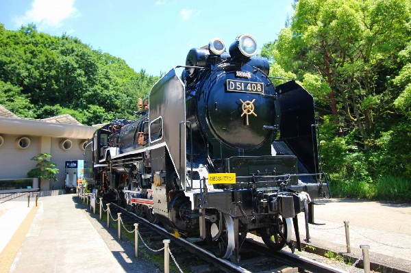 周辺環境:生田緑地(D51型蒸気機関車 通称「デゴイチ」が屋外展示されています。昭和15年に製造、30年余り活躍しました。生田緑地にやってきたのは昭和46年。)