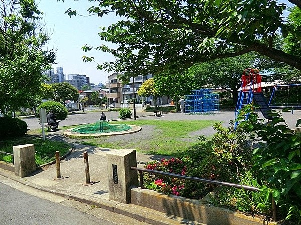 周辺環境:白楽公園(青空の下で駆け回ったり、遊具で遊んだり、思い思いの遊びができます。)