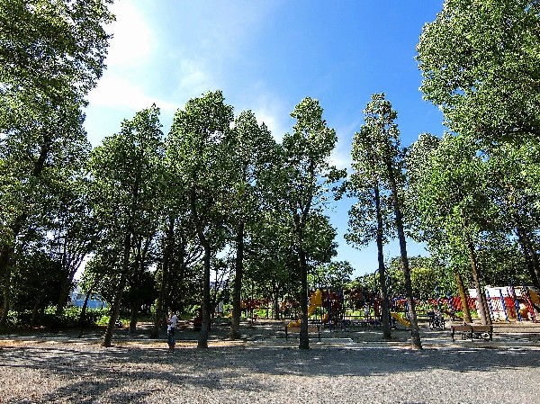 周辺環境:鷺沼公園(滑り台、上り棒等がからみあった大型の遊具、ブランコ、鉄棒など一通りそろっているので、子どもたちの運動不足解消に、絶好の遊び場スペースです。)