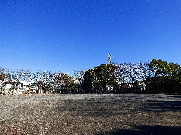 周辺環境:橘公園(季節の移ろいを感じられる公園。休日は四季を感じながら、ジョギングをしたり、お子様と一緒に遊べる公園です。)