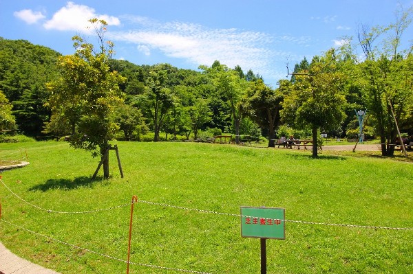 周辺環境:生田緑地(爽やかな風が通り、豊かな自然をそのままいかした広大な緑地。広場、プラネタリウム、バラ園など、幅広い世代が楽しめるのも魅力です。)