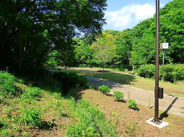 周辺環境:東高根森林公園(文化財である東高根遺跡や天然記念物であるシラカシ林を有する、多摩丘陵の美しい自然を今に伝える県立公園です。)