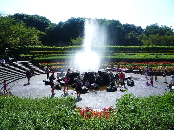 周辺環境:四季の森公園(県立四季の森公園は横浜市の市街地にありながらそうした豊かな里山の自然をそのままに残した公園です。)