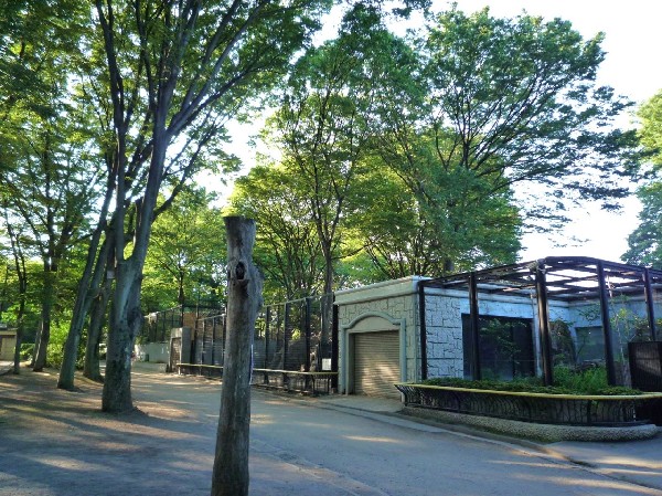 周辺環境:夢見ヶ崎動物公園(夢見ヶ崎公園のある加瀬山は、標高35mの自然林が残る小高い丘で、四季折々の植物などを楽しめる憩いの場です。)