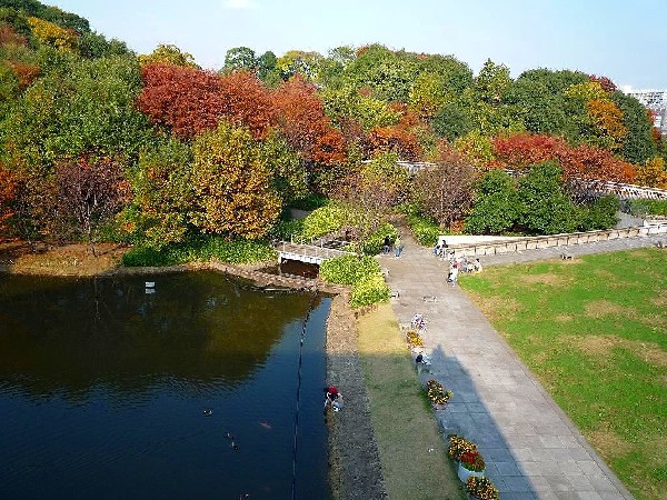 周辺環境:都筑中央公園(竹林に囲まれた、お散歩に最適な丘陵公園。季節に応じて桜やバラを楽しめます。)