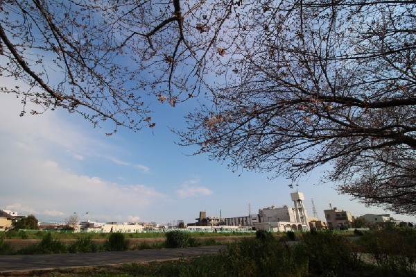 周辺環境:日吉六丁目鏡ヶ淵公園(鶴見川沿いにある桜がきれいな公園。すべり台・ブランコ・砂場があります。)