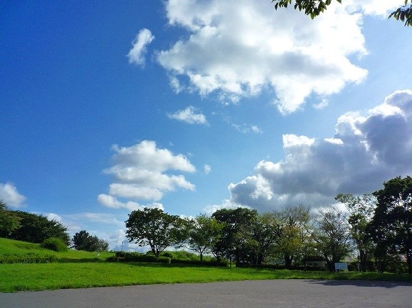 周辺環境:月出松公園(樹木が立ち並び、木漏れ日を愉しめる公園。都会の騒がしさから解放される、大人も癒される落ち着きある空間が広がります。)