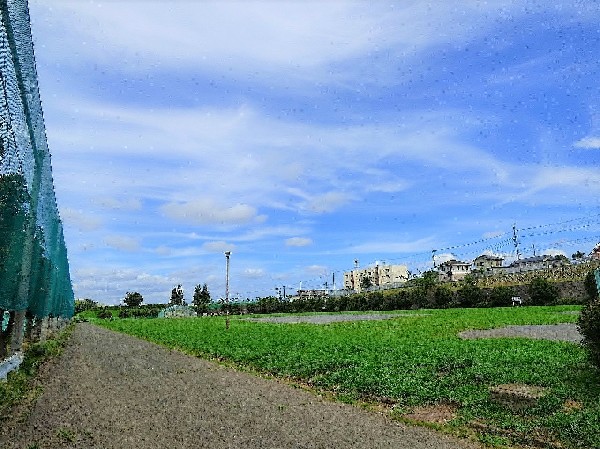 周辺環境:西長沢公園(敷地の大きい公園でメイン設備は広い芝生のグラウンドです。最近では無料駐車場が開設され利用しやすくなりました)