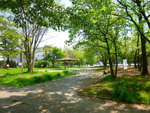 周辺環境:東高根森林公園(休日には、ランニングする人やお弁当を広げてピクニックするご家族で賑わいます。)