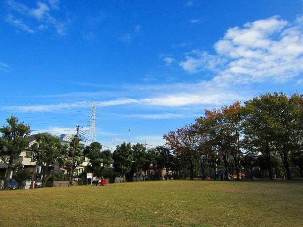 周辺環境:王禅寺公園(閑静な住宅街の中にある公園です。遊具のある広場が二か所あるほか、原っぱや公園の真中に遊歩道があります。野鳥もおり、自然にいやされます。)