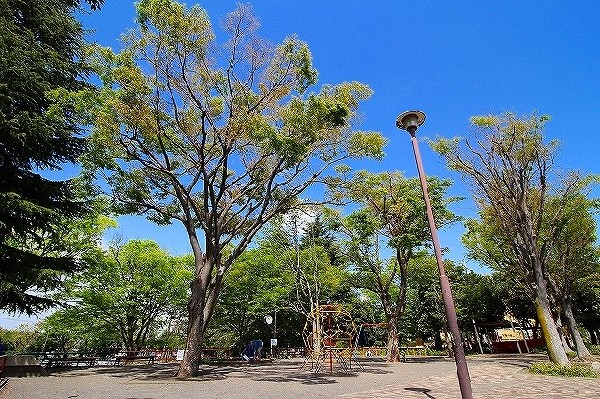 周辺環境:寺尾台第一公園(450　  大きい広場が特徴の公園です。広々とした園内でお子様たちものびのびと遊べ、ベビーカーなどでお散歩に来られても安心。遊具も豊富です。)