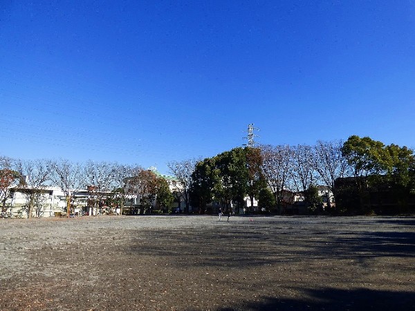 周辺環境:橘公園(季節の移ろいを感じられる公園。休日は四季を感じながら、ジョギングをしたり、お子様と一緒に遊べます。)