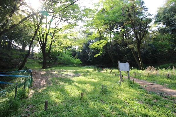 周辺環境:たちばなふれあいの森(樹木が立ち並び、木漏れ日を愉しめる公園。都会の騒がしさから解放される、大人も癒される落ち着きある空間が広がります。)