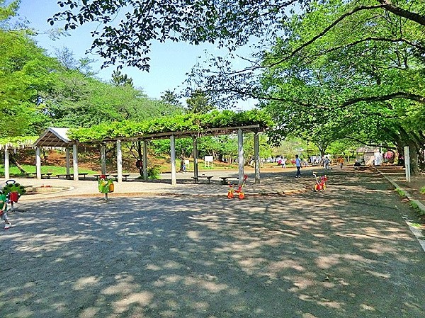 周辺環境:梶ヶ谷第一公園(自然と触れ合える桜で有名な公園です。敷地も広く、池もあります。)