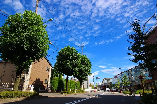 周辺環境:矢野口駅（北側並木）　(駅前周辺は、南武線の高架化に伴い再開発されています。少し足を延ばせば、多摩川も広がり自然も身近です。)