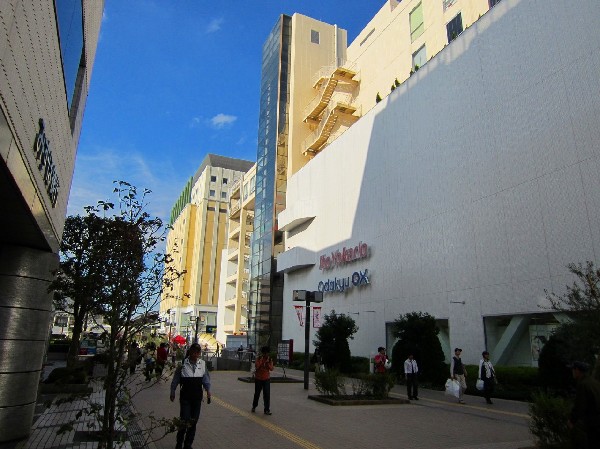 周辺環境:新百合ヶ丘エルミロード(衣料品のブティック、スーパーマーケット、ベーカリー、フードコートが入る 8 階建てのショッピング センター。)