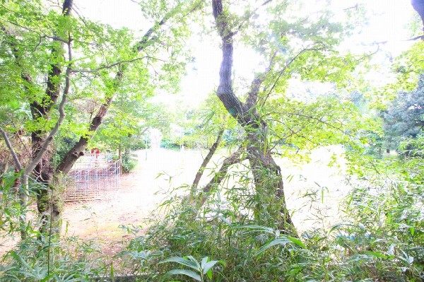 周辺環境:多摩美ふれあいの森(自然樹木の間を多摩自然遊歩道が続いていて、その途中に市民健康の森があり、その先に多摩美ふれあいの森。広々とした緑豊かな公園です。)