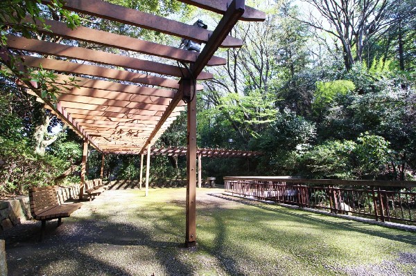 周辺環境:川崎市民プラザ　(日本庭園 　劇場、プール、体育館、トレーニングルーム、日本庭園、レストラン等、市民の為に様々な施設があります。)