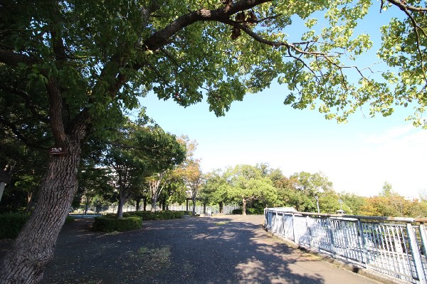 周辺環境:城山公園(四季を感じる自然豊かな大規模公園。ランニングする人や、お弁当を広げてピクニックするご家族で賑わいます。)