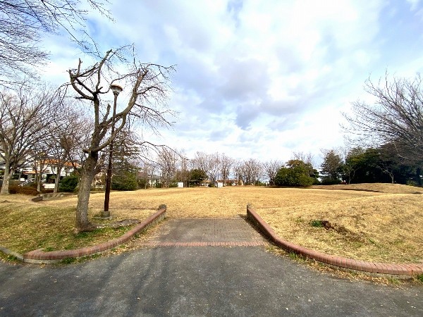 周辺環境:小黒公園(住宅街らしく近隣には公園が複数ありますので、お子様にも嬉しい住環境です。きっと、お気に入りの公園がみつかるはずです。)