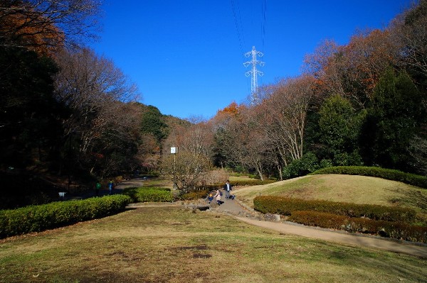 周辺環境:東高根森林公園(四季を感じる自然豊かな大規模公園。ランニングする人や、お弁当を広げてピクニックするご家族で賑わいます。自然と触れ合う楽しさを感じよう。)