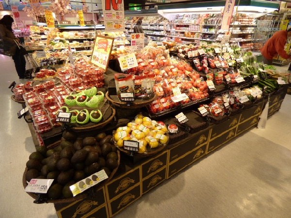 周辺環境:いなげや 川崎中野島店(2025年4月9日にリニューアルオープンしました。売り場面積は1.5倍に拡大され特に生鮮食品と総菜の売り場の一体化でお買物に便利です。)