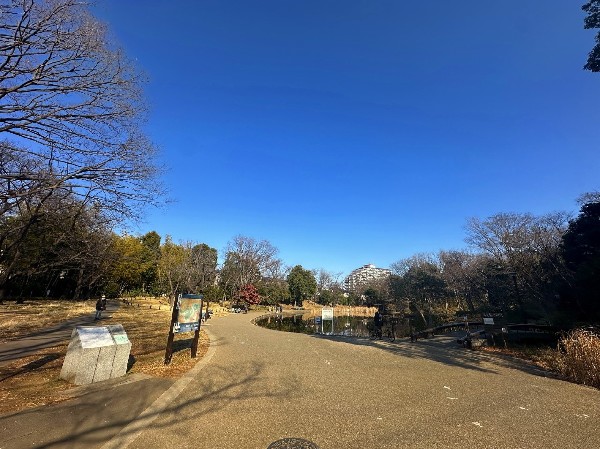 周辺環境:せせらぎ公園(野鳥が多く、木々に囲まれた大きな池の周りに遊歩道やベンチなどがある公園です。)