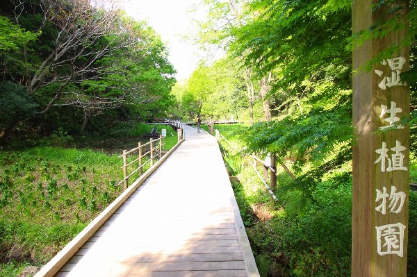 周辺環境:東高根森林公園(四季を感じる自然豊かな大規模公園。自然と触れ合う楽しさを感じよう。)