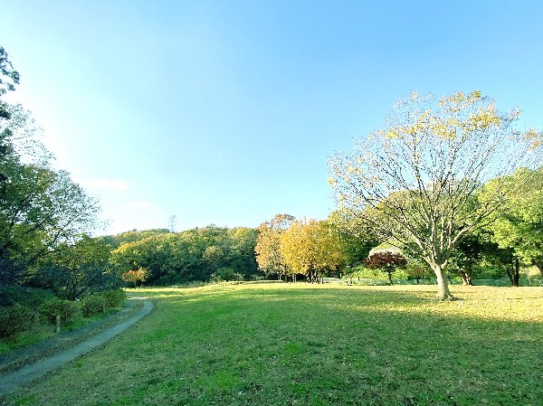 周辺環境:北八朔公園(この公園は雑木林や芝生広場、小川などがある、自然を多く残した公園です。小学校高学年ぐらいから山坂を走り回り、冒険するのに最適。)