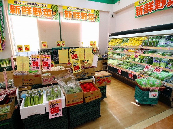 周辺環境:A-プライス溝の口店　(飲食店向けの「プロの食材の店」として毎日の仕入をサポートします。)