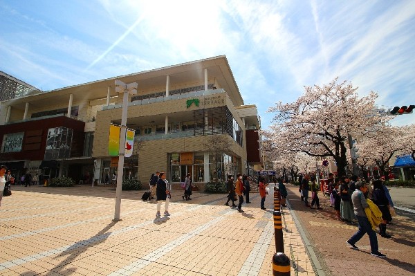 周辺環境:たまプラーザ駅 (洗練された田園都市線のイメージそのままに、たまプラーザテラス・東急百貨店などの商業施設が揃う、急行停車駅です。)