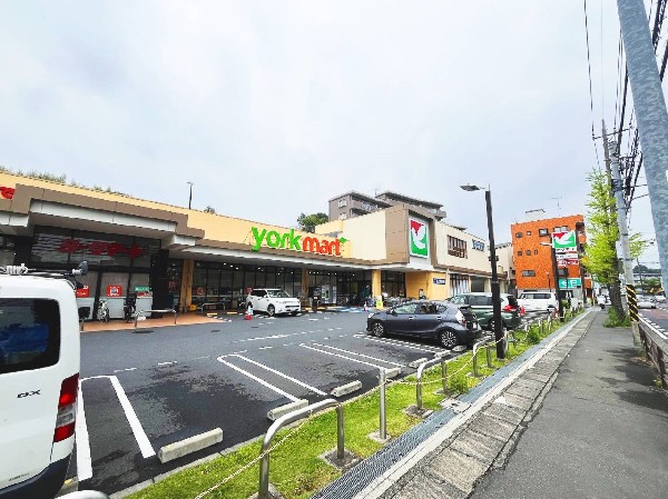 周辺環境:ヨークマート川崎野川店　(セブン＆アイ・ホールディングス傘下のイトーヨーカ堂が関東南部に展開する日本のスーパーマーケットです。)