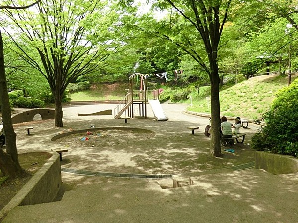 周辺環境:日吉本町鯛ヶ崎公園(季節の移ろいを感じられます。四季を感じ、ジョギングをしたり、お子様と一緒に遊べる公園です。お子様も伸び伸び成長してくれますね)