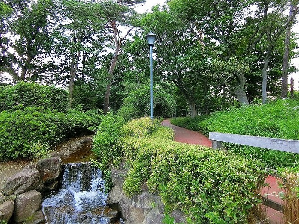 周辺環境:西河原自然公園(樹木が立ち並び、木漏れ日を愉しめる公園。都会の騒がしさから解放される、大人も癒される落ち着きある空間が広がります。)