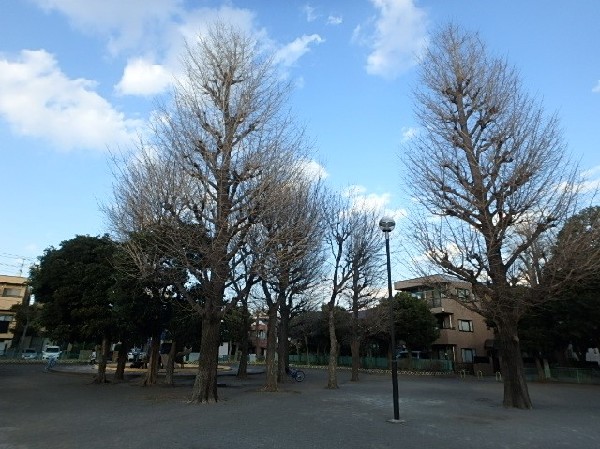 周辺環境:川中島公園(近隣には公園が点在し、子供たちの元気で楽しそうな声が響き渡ります。)