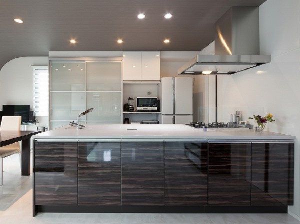 【プラン例　建物価格2400万円　建物面積100m2】  【Fredge標準装備　キッチン】  タカラスタンダード OFELIA  