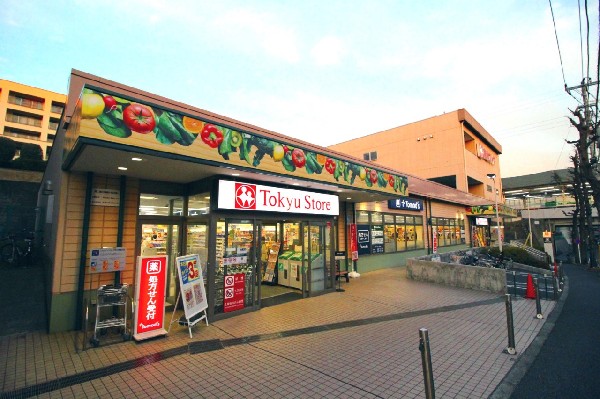 周辺環境:東急ストア江田店(江田駅に隣接しています。平日は22時30分まで営業していますので、お帰りのついでに立ち寄ることもできて便利です。)