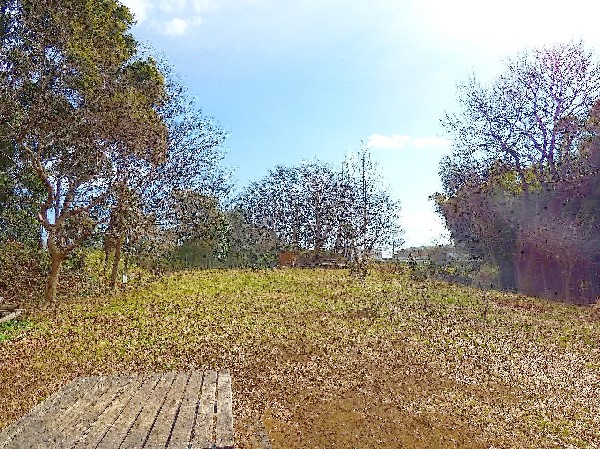周辺環境:神庭緑地(宅地化が進行する蟹ヶ谷地内に残された貴重な緑地。緑地の階段を上ると見晴らしの良い景色が広がっている。)