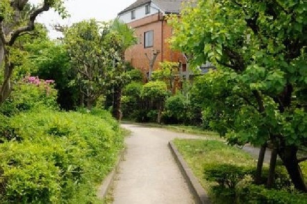 周辺環境:野川緑地公園　(狛江市の小金橋から狛江市役所までの旧野川跡を整備して造られた公園。)