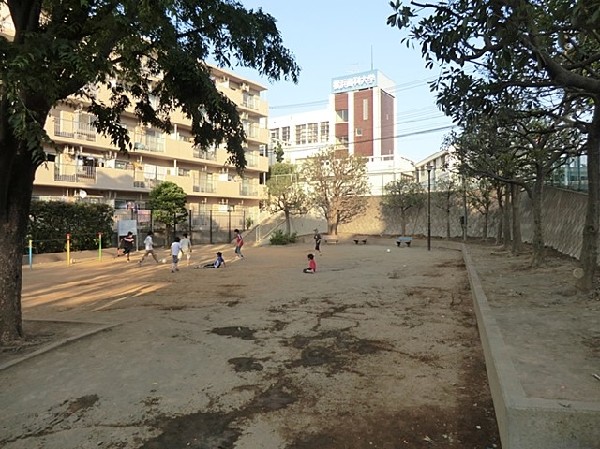 周辺環境:東寺尾三丁目公園(小さなお子様向け遊具があり、かけっこができる広場も充実している幅広い年齢層に親しまれている公園です。)