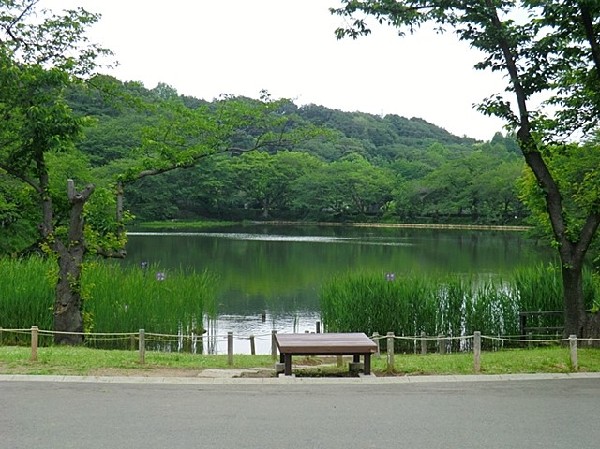 周辺環境:三ツ池公園(春には1600本の桜が開花する名所。テニスコート、プール、ロング滑り台等があり1日中楽しめます。)