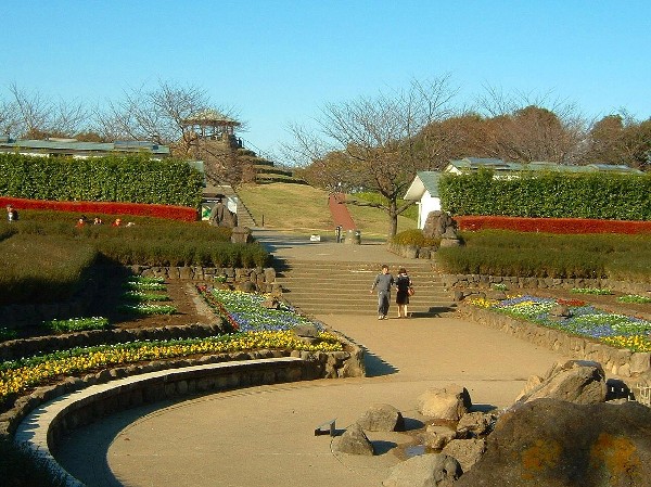 周辺環境:四季の森公園(季節によってさまざまな野花が咲き誇る。ジャンボ滑り台や水遊び可能な池がお子様にも人気。)