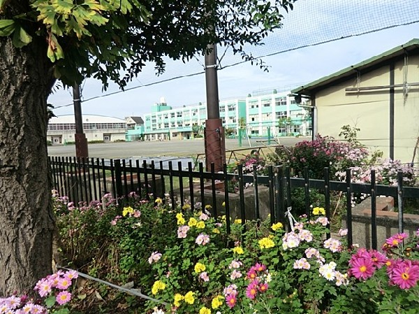 周辺環境:入船小学校(パステルグリーンの校舎が特徴的な入船公園近くの小学校。校庭キャンプなど独自の行事が思い出になる。)