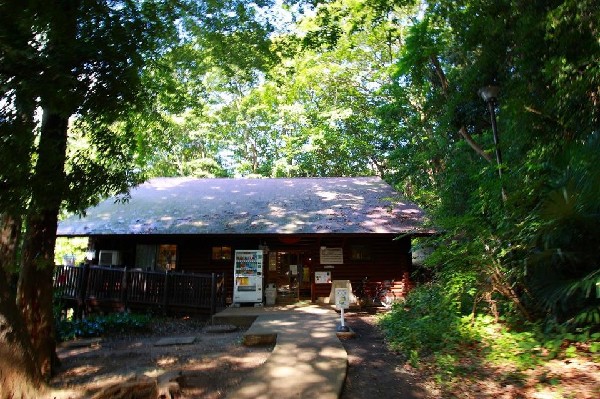 周辺環境:白幡公園(雨の日でも室内で遊べるログハウスがある。ネットや滑り台、迷路、おもちゃなどがあり小学生に人気の施設。)