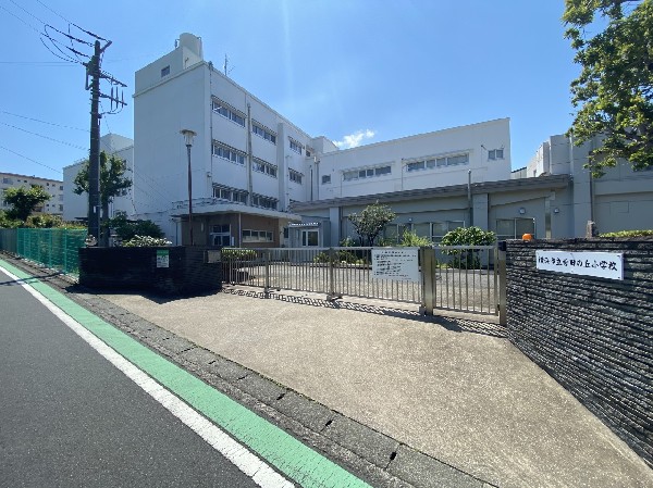 周辺環境:菅田の丘小学校(小学校の統合により、2021年4月に開校した新しい小学校。広い体育館にはエアコンが完備されています。)