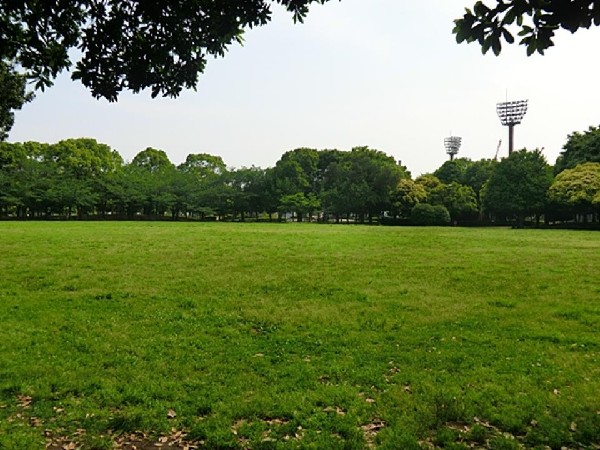 周辺環境:入船公園(ナイター付きの野球場とテニスコート、遊具や芝生広場、ドッグランがある自然公園。四季折々の花が美しい。)